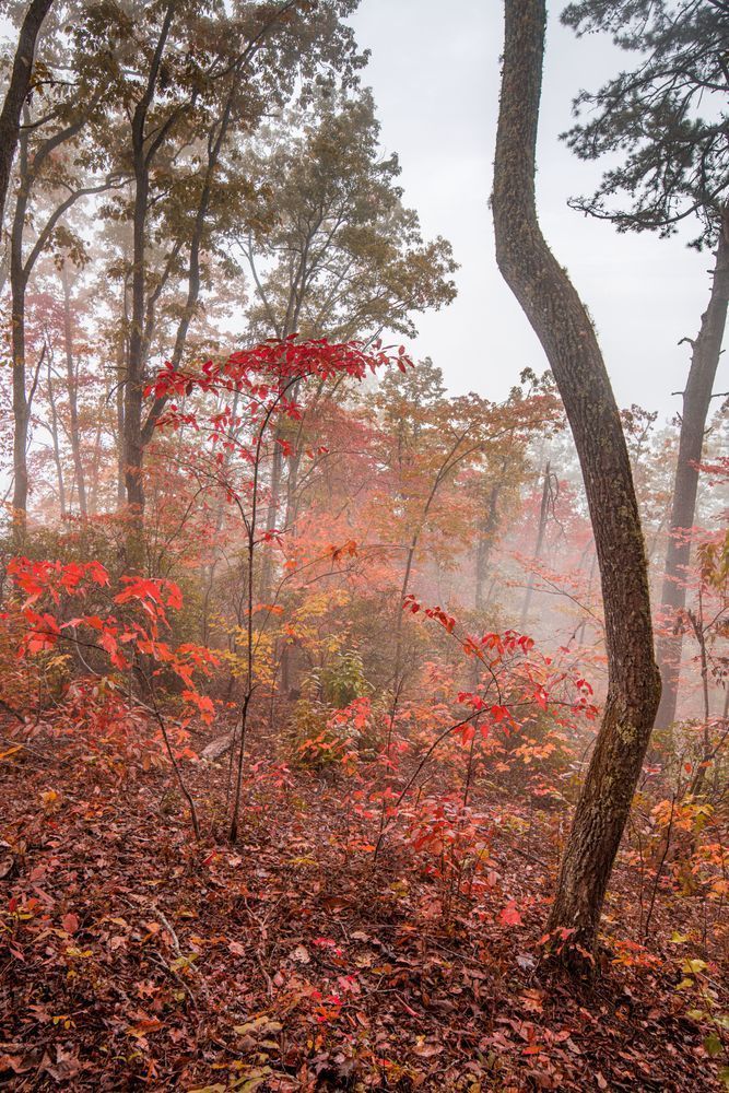 Serenity Photography Art | kramkranphoto