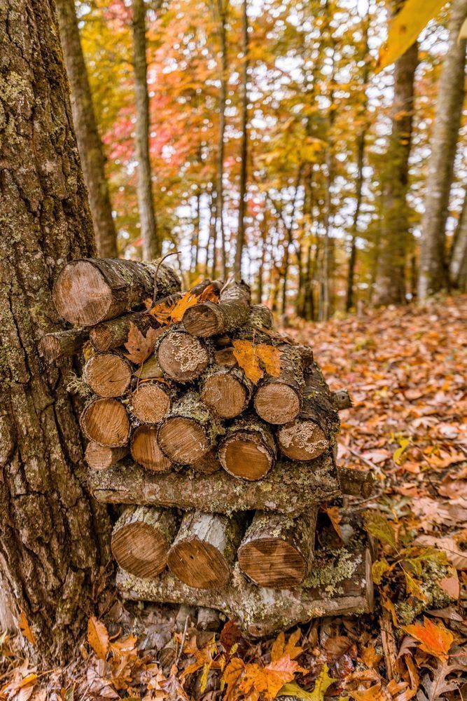 Fall Firewood Forever Photography Art | kramkranphoto