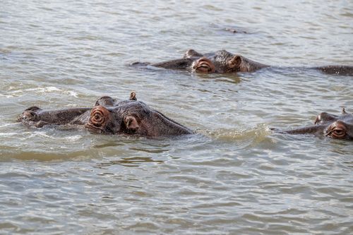 Mdawmdawmdawmdaw7qgraepd6cacehr zcfbfywxu2fyveayeunrgwctqqqltnerwweter6yomfiojy24adow ljj7f22f2vd2s3k0fn 38ezqodftc2xeuhdjufahdziomokxodj3hs jg da6ji5eudq olwagpj5emn5re2igzuzqbk dzbdi2dgwkahwdad2wamlfbfxk chy557matnawljoucwvqysiclpxazpnedndvdiolqjdav0qyqlsdzhxe42ejahfxr8msmkejdnvmge5nkvzifrthv8pqs09gchfoyns1bho93 vjkn8xb3hovjsagdrep9reimqm8dypyhcgrnaor yey