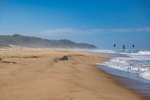 Mdawmdawmdawmdaw7qgraepd6cacehr zcfbfywxu2fyveayeunrgwctqqqltnerwweter6yomfiojy24adow ljj7f22f2vd2s3k0fn 38ezqodftc2xeuhdjufahdziomokxodj3hs jg da6ji5eudq olwagpj5emn5re2igzuzqbk dzbdi2dgwkahwdad2wamlfbfxk chy557matnawlmroswtet1yjdcxazpnedndvdiofyjdav0qyqlsdzhxe42ejahfxr8msmkejdnvmge5nkvzifrthv8pqs09gchfoyns1bho93 vjkn8xb3hovjsagdrep9rjjbczwgndi1okktvggrgic