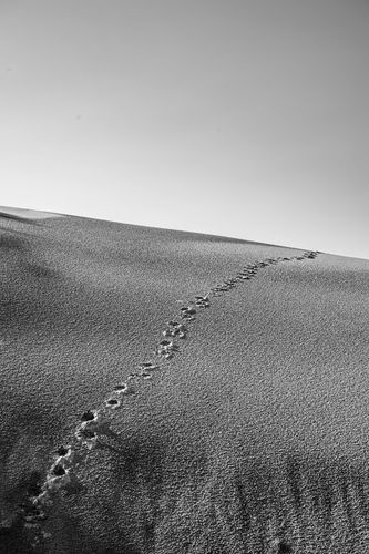 Mdawmdawmdawmdaw7qgraepd6cacehr zcfbfywxu2fyveayeunrgwctqqqltnerwweter6yomfiojy24adow ljj7f22f2vd2s3k0fn 38ezqodftc2xeuhdjufahdziomokxodj3hs jg da6ji5eudq olwagpj5emn5re2igzuzqbk dzbdi2dgwkahwdad2wamlfbfxk chy557matnawlpq gwxbq7iiptxazpnedndvdiplyjdav0qyqlsdzhxe42ejahfxr8msmkejdnvmge5nkvzifrthv8pqs09gchfoyns1bho93 vjkn8xb3hovjsagdrep9rpkmtsmvtf63mr op00zrjy