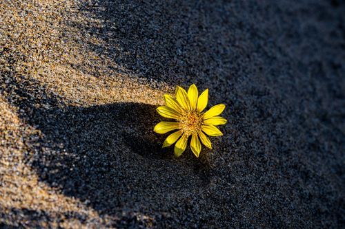 Mdawmdawmdawmdaw7qgraepd6cacehr zcfbfywxu2fyveayeunrgwctqqqltnerwweter6yomfiojy24adow ljj7f22f2vd2s3k0fn 38ezqodftc2xeuhdjufahdziomokxodj3hs jg da6ji5eudq olwagpj5emn5re2igzuzqbk dzbdi2dgwkahwdad2wamlfbfxk chy557matnawlpregwvlahjzydxazpnedndvdip16jdav0qyqlsdzhxe42ejahfxr8msmkejdnvmge5nkvzifrthv8pqs09gchfoyns1bho93 vjkn8xb3hovjsagdrep9rgwyhtj0z9gs1g vmbxgrsy