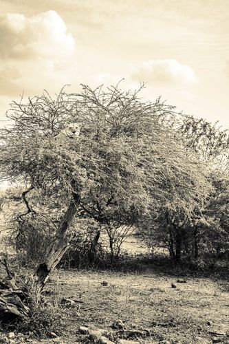 Mdawmdawmdawmdaw7qgraepd6cacehr zcfbfywxu2fyveayeunrgwctqqqltnerwweter6yomfiojy24adow ljj7f22f2vd2s3k0fn 38ezqodftc2xeuhdjufahdziomokxodj3hs jg da6ji5eudq olwagpj5emn5re2igzuzqbk dzbdiwsnnhyhwyatiy4yecqvxdrz1ltiw9qggfhnmt t5fefvy2al2sklab62vfzvo1 7luegspk0dwdm2 pyo8a4baf7hsgwqmbdwsqs mvh1oayab9jok804aclgoidrwzji4cq5djh8fspxb1xxhbe9pnuudmgdjayyrd4bmhhzvvt1f3zn4huwvqn2q