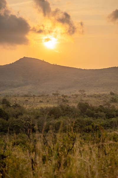 Safari Sunset Photography Art | kramkranphoto