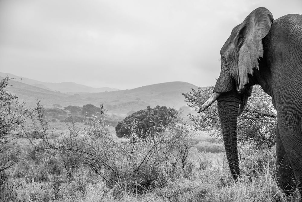 Inside Looking Out Photography Art | kramkranphoto