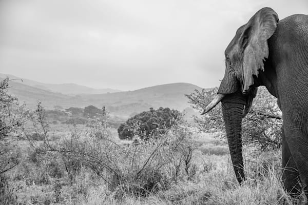 Inside Looking Out Photography Art | kramkranphoto
