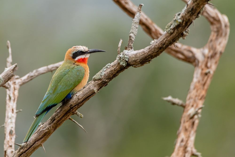 Color Abounds Photography Art | kramkranphoto