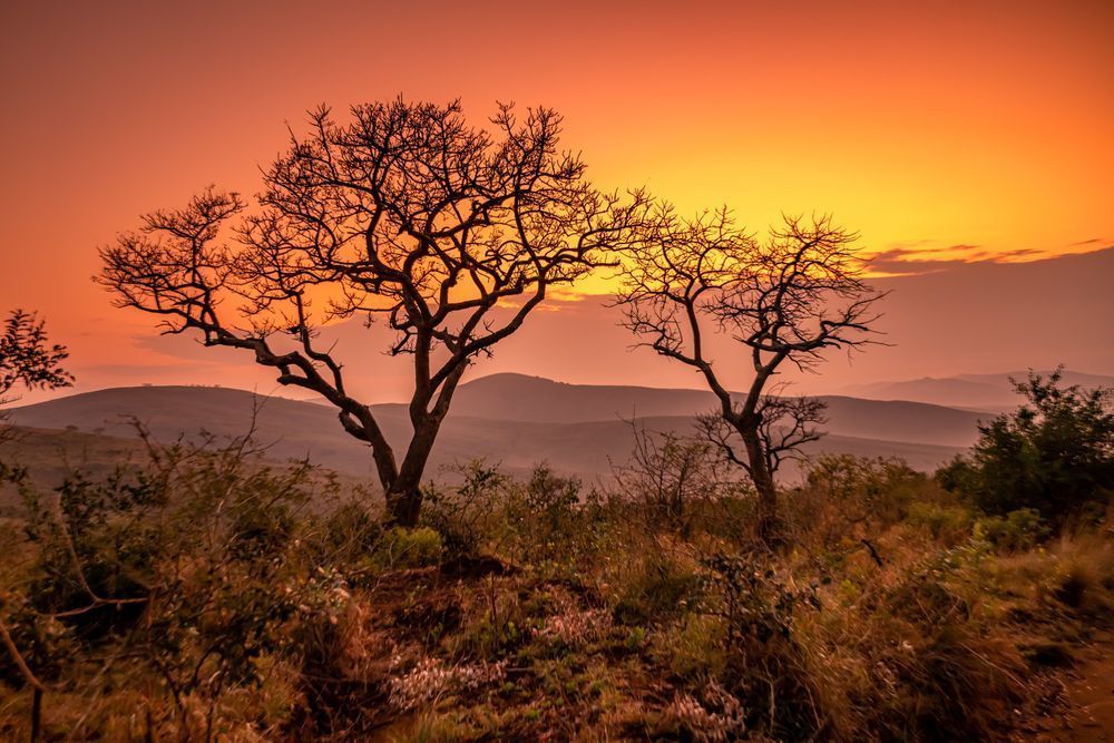 Hluhluwe–I Mfolozi Sunset Photography Art | kramkranphoto