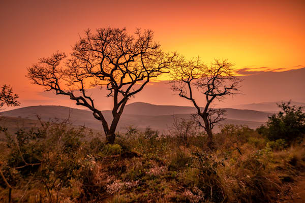 Hluhluwe–I Mfolozi Sunset Photography Art | kramkranphoto