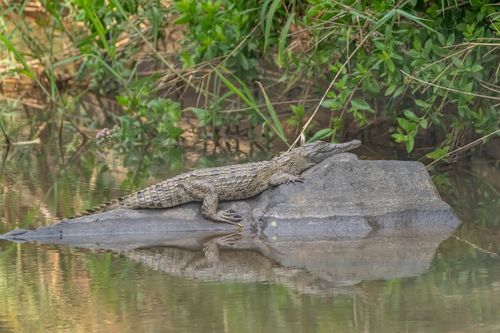 Mdawmdawmdawmdaw7qgraepd6cacehr zcfbfywxu2fyveayeunrgwctqqqltnerwweter6yomfiojy24adow ljj7f22f2vd2s3k0fn 38ezqodftc2xeuhdjufahdziomokxodj3hs jg da6ji5eudq olwagpj5emn5re2igzuzqbk dzbdiwsnnhyhwyatiy4yecqvxdrz1ltiw9qsgfhnmt t5fefvzgul2ckqe lrxf5vo1 7luegspkzbwdm2 pyo8a4baf7hsgwqmbdwsqs mvh1oayab9jok804aclgoidrwzji4cq5djh8fspxb1xxhbe9pnuudmgdjayyrd4pd r5z4b 2qpqxtg8zz gq