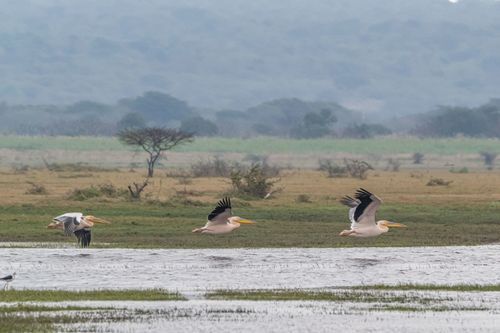 Mdawmdawmdawmdaw7qgraepd6cacehr zcfbfywxu2fyveayeunrgwctqqqltnerwweter6yomfiojy24adow ljj7f22f2vd2s3k0fn 38ezqodftc2xeuhdjufahdziomokxodj3hs jg da6ji5eudq olwagpj5emn5re2igzuzqbk dzbdiwsnnhyhwyatiy4yecqvxdrz1ltiw9qsgfhnmt t5fefvzwac2mkneuojrapvo1 7luegspkxcgdm2 pyo8a4baf7hsgwqmbdwsqs mvh1oayab9jok804aclgoidrwzji4cq5djh8fspxb1xxhbe9pnuudmgdjayyrd4lipvfr 483xl eu3ib4vkq