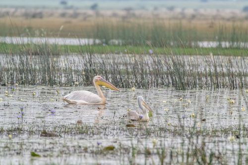 Mdawmdawmdawmdaw7qgraepd6cacehr zcfbfywxu2fyveayeunrgwctqqqltnerwweter6yomfiojy24adow ljj7f22f2vd2s3k0fn 38ezqodftc2xeuhdjufahdziomokxodj3hs jg da6ji5eudq olwagpj5emn5re2igzuzqbk dzbdiwsnnhyhwyatiy4yecqvxdrz1ltiw9qsgfhnmt t5fefvzwep3skpcaw3tl1vo1 7luegspkxcgdm2 pyo8a4baf7hsgwqmbdwsqs mvh1oayab9jok804aclgoidrwzji4cq5djh8fspxb1xxhbe9pnuudmgdjayyrd4nogka4fjrgheb6w58tbvma