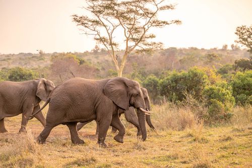 Mdawmdawmdawmdaw7qgraepd6cacehr zcfbfywxu2fyveayeunrgwctqqqltnerwweter6yomfiojy24adow ljj7f22f2vd2s3k0fn 38ezqodftc2xeuhdjufahdziomokxodj3hs jg da6ji5eudq olwagpj5emn5re2igzuzqbk dzbdiwsnnhyhwyatiy4yecqvxdrz1ltiw9qsgfhnmt t5fefvzmai3ck drrldanvo1 7luegspk dwdm2 pyo8a4baf7hsgwqmbdwsqs mvh1oayab9jok804aclgoidrwzji4cq5djh8fspxb1xxhbe9pnuudmgdjayyrd41a6fpwquljfu rnnlb8req