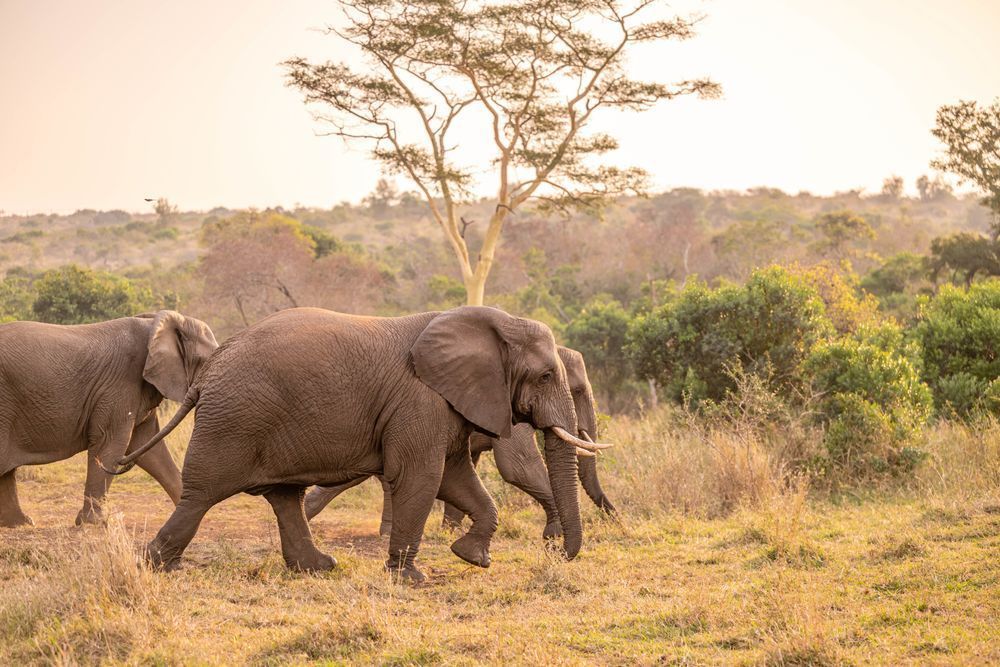 Colossal Jog Photography Art | kramkranphoto