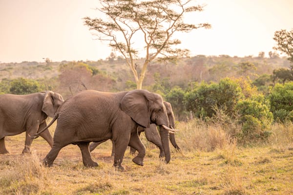 Colossal Jog Photography Art | kramkranphoto