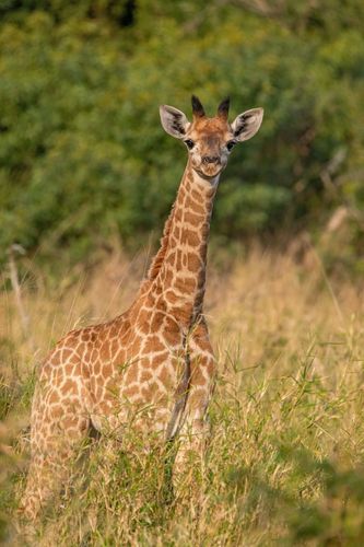 Mdawmdawmdawmdaw7qgraepd6cacehr zcfbfywxu2fyveayeunrgwctqqqltnerwweter6yomfiojy24adow ljj7f22f2vd2s3k0fn 38ezqodftc2xeuhdjufahdziomokxodj3hs jg da6ji5eudq olwagpj5emn5re2igzuzqbk dzbdiwsnnhyhwyatiy4yecqvxdrz1ltiw9qsgfhnmt t5fefvzmeo28kraqkydxhvo1 7luegspo3d2dm2 pyo8a4baf7hsgwqmbdwsqs mvh1oayab9jok804aclgoidrwzji4cq5djh8fspxb1xxhbe9pnuudmgdjayyrd42evoumn3tcuvf68gtyukmq