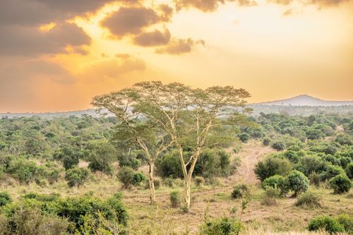 Mdawmdawmdawmdaw7qgraepd6cacehr zcfbfywxu2fyveayeunrgwctqqqltnerwweter6yomfiojy24adow ljj7f22f2vd2s3k0fn 38ezqodftc2xeuhdjufahdziomokxodj3hs jg da6ji5eudq olwagpj5emn5re2igzuzqbk dzbdiwsnnhyhwyatiy4yecqvxdrz1ltiw9qsgfhnmt t5fefvzmcl3mkuzri dqfvo1 7luegspk cmdm2 pyo8a4baf7hsgwqmbdwsqs mvh1oayab9jok804aclgoidrwzji4cq5djh8fspxb1xxhbe9pnuudmgdjayyrd4llcw0d0 h iur5iviuysbw