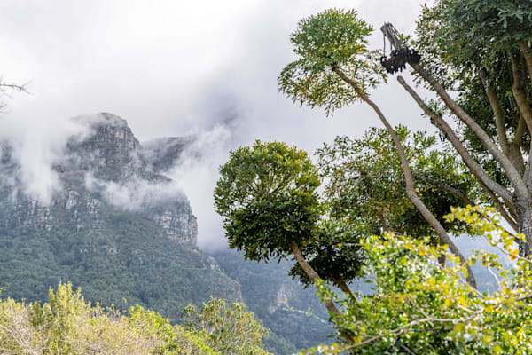 When The Smoke Clears Photography Art | kramkranphoto