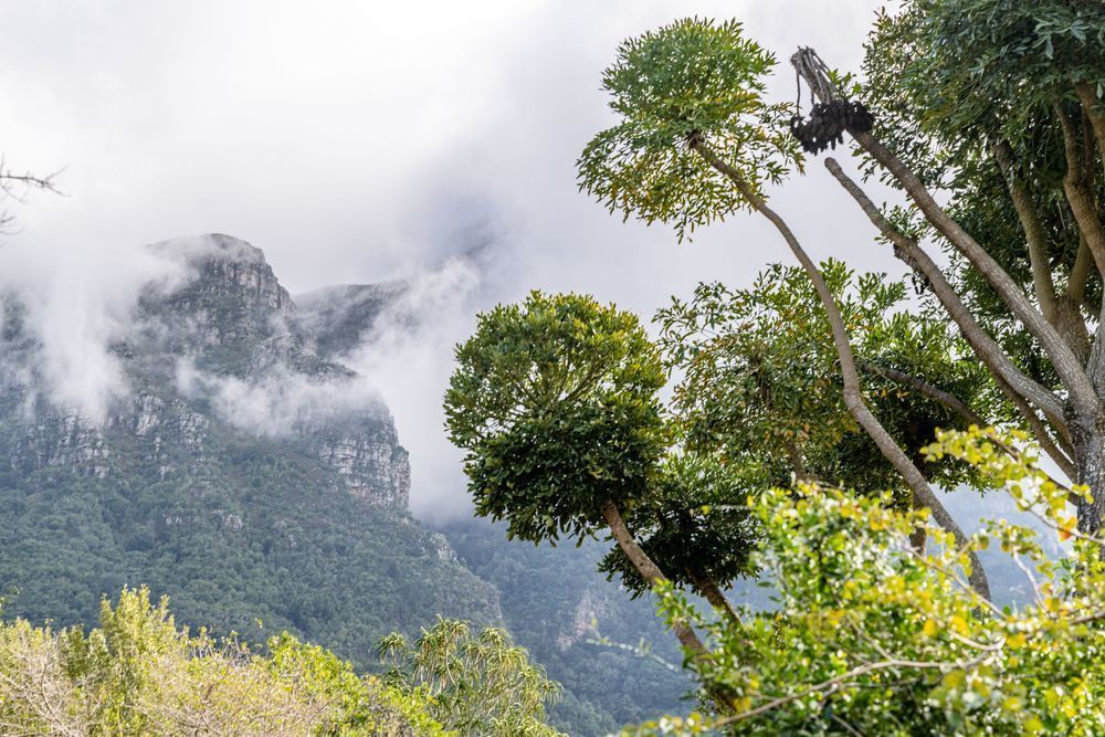 When The Smoke Clears Photography Art | kramkranphoto