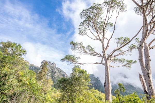 Scenes Of The Cape Photography Art | kramkranphoto