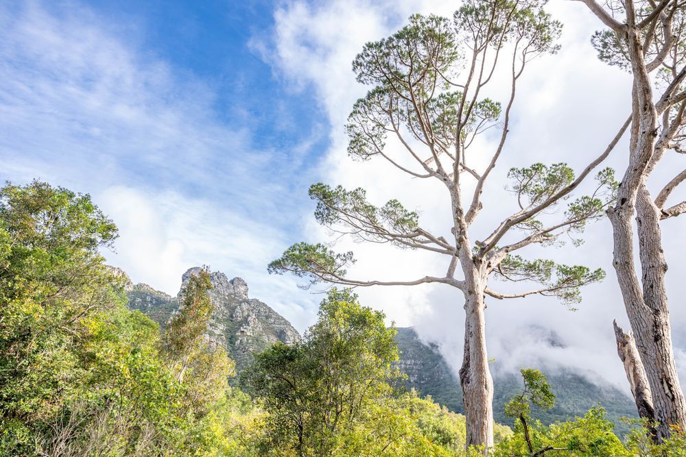 Scenes Of The Cape Photography Art | kramkranphoto