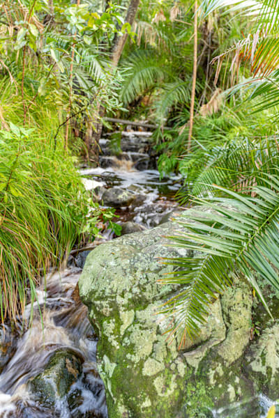 South African Stream Photography Art | kramkranphoto