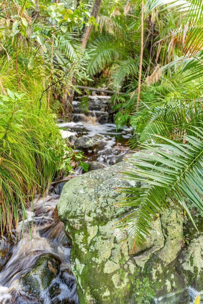 South African Stream Photography Art | kramkranphoto