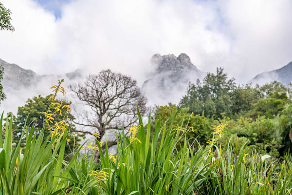 When The Mist Clears Photography Art | kramkranphoto