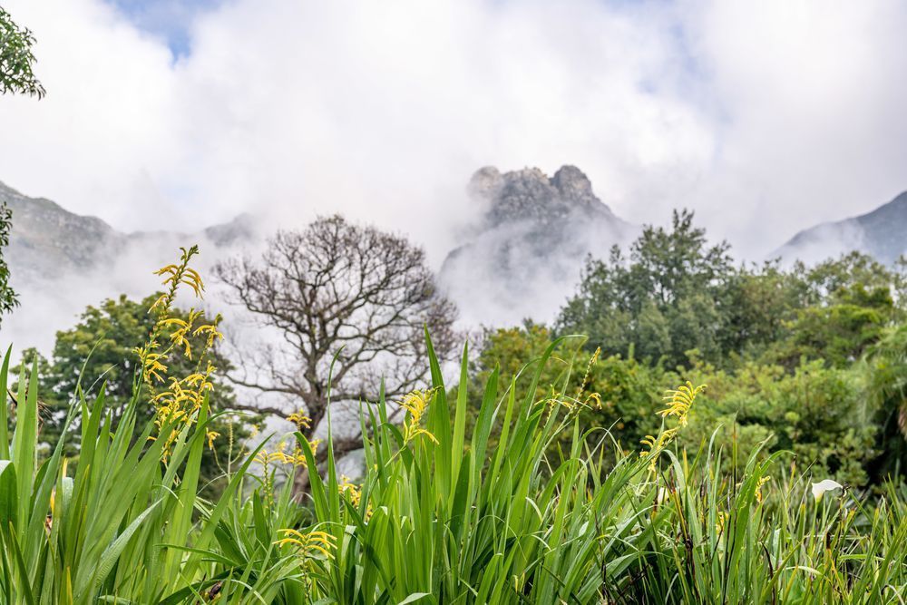 When The Mist Clears Photography Art | kramkranphoto
