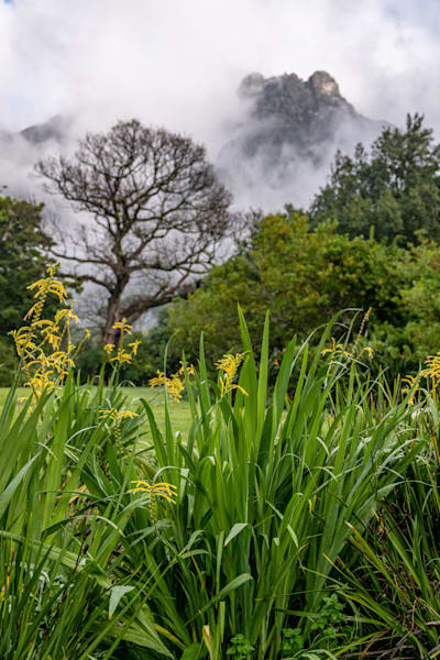 Botany Photography Art | kramkranphoto
