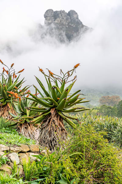 As The Mist Parts Photography Art | kramkranphoto