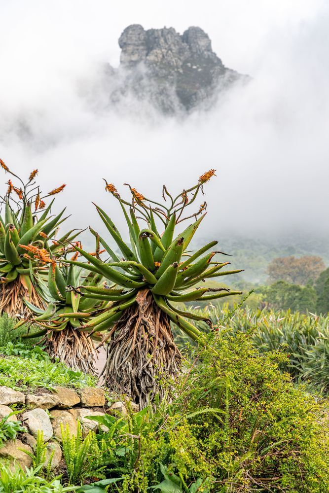 As The Mist Parts Photography Art | kramkranphoto