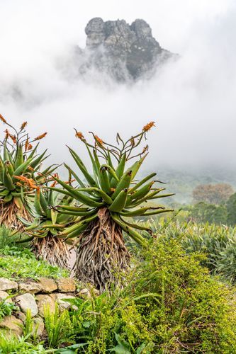 Mdawmdawmdawmdaw7qgraepd6cacehr zcfbfywxu2fyveayeunrgwctqqqltnerwweter6yomfiojy24adow ljj7f22f2vd2s3k0fn 38ezqodftc2xeuhdjufahdziomokxodj3hs jg da6ji5eudq olwagpj5emn5re2igzuzqbk dzbdiyctiehtrebl5wygleb7balbfgowox 0gtfel 7igrlsupzrampm6bakmbknlo0s l chppayd3n52fo ziu9wvejw5bnazqmh3rt myczjhrvg5woaxwtvckepsdteowi9ku95dm9hzjsrdjhl3e9omcfdnyjm l35mn 7qwm43j f2mad203ktn3sujofdzgsohxd3mjovfwagi ou