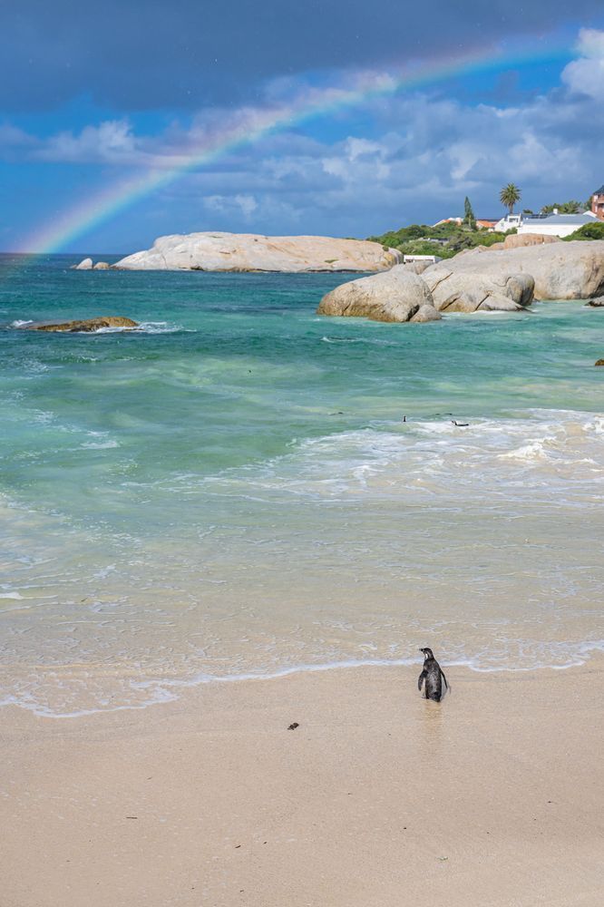 Rushing To The Rainbow Photography Art | kramkranphoto