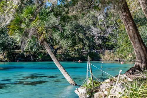 Mdawmdawmdawmdaw7qgraepd6cacehr zcfbfywxu2fyveayeunrgwctqqqltnerwweter6yomfiojy24adow ljj7f22f2vd2s3k0fn 38ezqodftc2xeuhdjufahdziomokxodj3hs jg da6ji5eudq olwagpj5emn5rfxgea8hom02ybhha yiorha2sb5j o4aeuivqusyxov6kkpoafqh ftlbagwmt1ijpktbrcnvweu4uu3rk4x6npotgycife5eos4vew3nckqvcvid3nipczjzmqgrgh5deuj6hu0lpjy9pgokb23vx kjjwnqjig