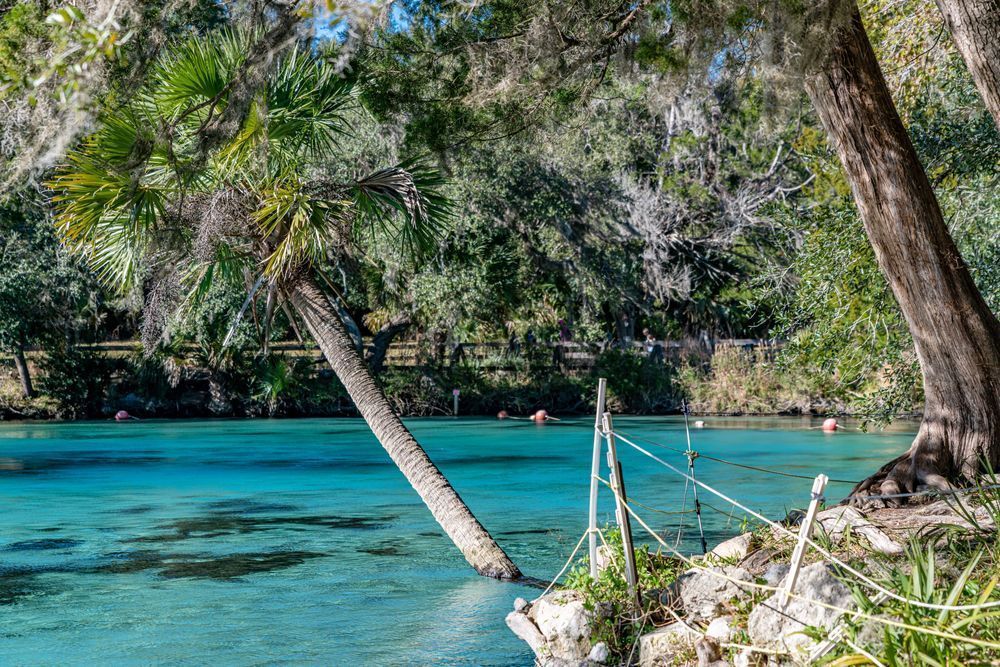 Silver Glen Springs Photography Art | kramkranphoto