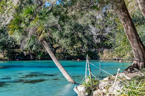 Silver Glen Springs Photography Art | kramkranphoto