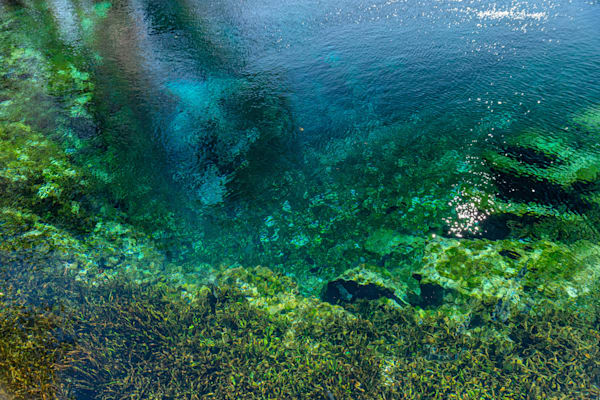 Silver Springs View Photography Art | kramkranphoto