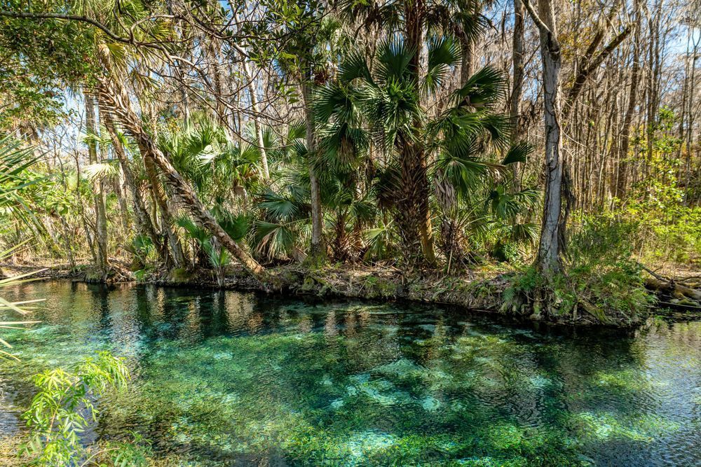 Silver Springs Photography Art | kramkranphoto