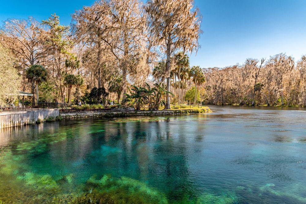 Silver Springs Photography Art | kramkranphoto