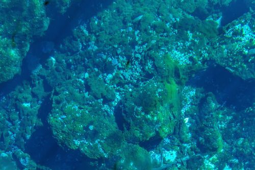 Mdawmdawmdawmdaw7qgraepd6cacehr zcfbfywxu2fyveayeunrgwctqqqltnerwweter6yomfiojy24adow ljj7f22f2vd2s3k0fn 38ezqodftc2xeuhdjufahdziomokxodj3hs jg da6ji5eudq olwagpj5emn5rfxgea8hom02ybhha yiorxu1sal164uacuivqusyxov6katoafqh ftlbagwmt1ijpktbrcnvweu4uu3rk4x6npotgycife5eos4vew3nckqvcvid3nipczjzmqgrgh5deuj6hu0lpitityl0tterfnm 4tjuhid