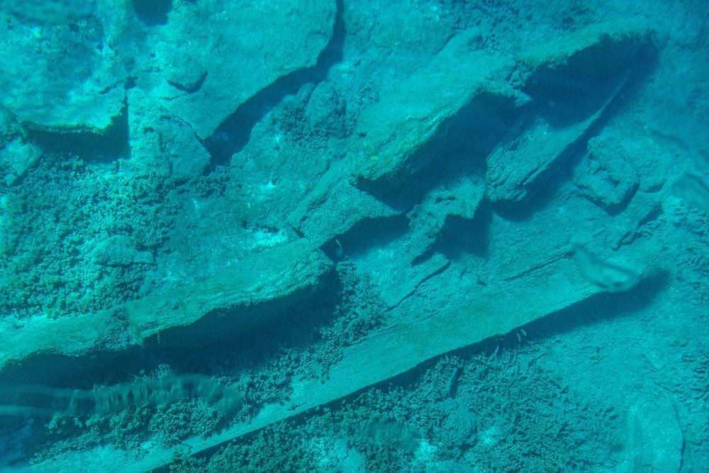 Silver Springs Photography Art | kramkranphoto