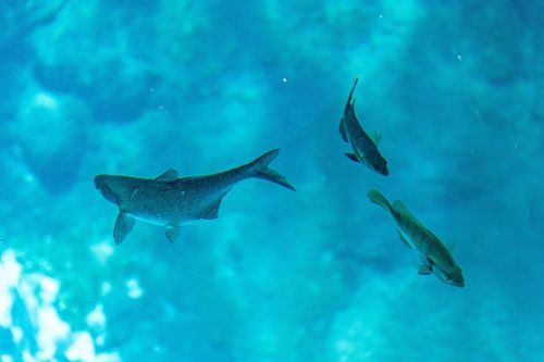 Mdawmdawmdawmdaw7qgraepd6cacehr zcfbfywxu2fyveayeunrgwctqqqltnerwweter6yomfiojy24adow ljj7f22f2vd2s3k0fn 38ezqodftc2xeuhdjufahdziomokxodj3hs jg da6ji5eudq olwagpj5emn5rfxgea8hom02ybhha yiornc3sa9 6oprxoivqusyxov6n6bkafqh ftlbagwmt1ijpktbrcnvweu4uu3rk4x6npotgycife5eos4vew3nckqvcvid3nipczjzmqgrgh5deuj6hu0lpl4ch11n u32uft8jr9upzp