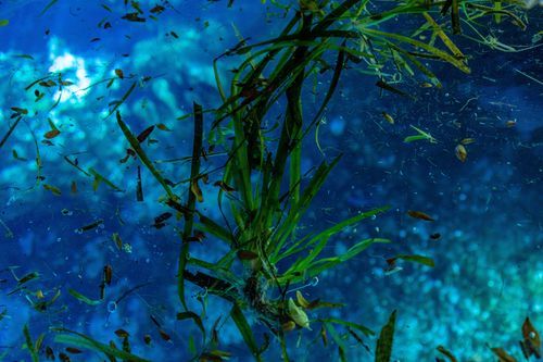 Mdawmdawmdawmdaw7qgraepd6cacehr zcfbfywxu2fyveayeunrgwctqqqltnerwweter6yomfiojy24adow ljj7f22f2vd2s3k0fn 38ezqodftc2xeuhdjufahdziomokxodj3hs jg da6ji5eudq olwagpj5emn5rfxgea8hom02ybhha yiornw8safi8y0vaoivqusyxov6nqxoafqh ftlbagwmt1ijpktbrcnvweu4uu3rk4x6npotgycife5eos4vew3nckqvcvid3nipczjzmqgrgh5deuj6hu0lpix3dgb90xizbypmtw 8cgo