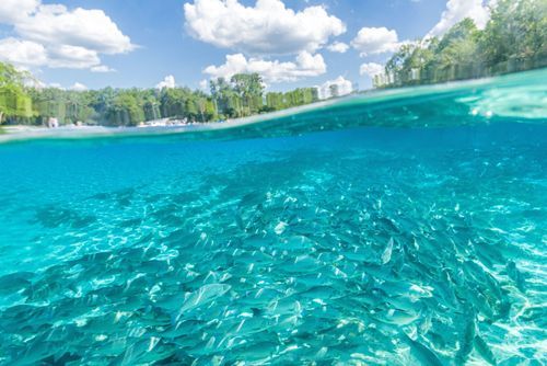 Mdawmdawmdawmdaw7qgraepd6cacehr zcfbfywxu2fyveayeunrgwctqqqltnerwweter6yomfiojy24adow ljj7f22f2vd2s3k0fn 38ezqodftc2xeuhdjufahdziomokxodj3hs jg da6ji5eudq olwagpj5emn5rfxgea8hom02ybhha frtgsbgzll26o4qsoqsq4bdnn8t3 vqhwhjqed5fofywh1rmvr9l onta8u4q ibbhy 8fouj2ekcyrnye gra3z4wvw8bvwwhrtn4ah9qhvl4ryu8m9gc goseswzfnnj 8ehstp54yj3hohytf1ip487j7q