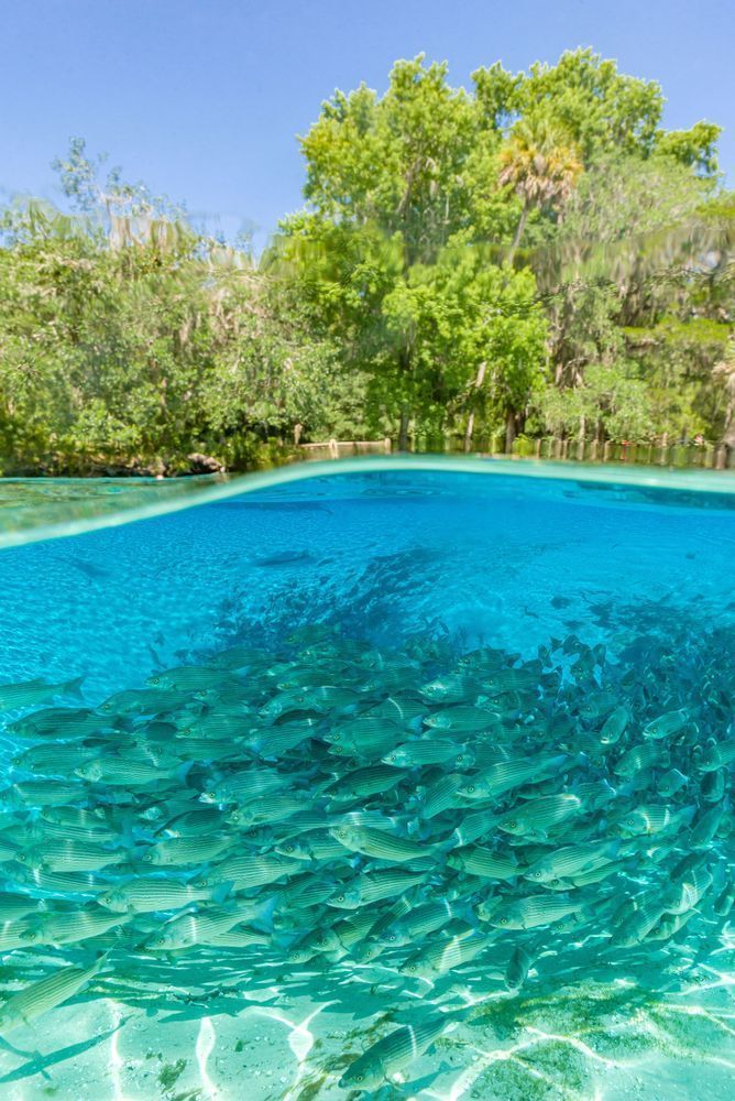 Gimme Shelter Photography Art | kramkranphoto