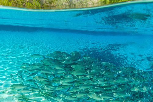 Mdawmdawmdawmdaw7qgraepd6cacehr zcfbfywxu2fyveayeunrgwctqqqltnerwweter6yomfiojy24adow ljj7f22f2vd2s3k0fn 38ezqodftc2xeuhdjufahdziomokxodj3hs jg da6ji5eudq olwagpj5emn5rfxgea8hom02ybhha frtgsbgzll26o4qsoqsqfiyrcuinvqwrxfgrot6eexxzgiixpevzpp hboi8wf ebph5slzvshi2l9qtjlufrj6hyxdemfvqcqjtjphhtigrrrldeuj6hvlu gdv1ani9l6vivs2qr5eimo1ga4ywvrczdfmz9x