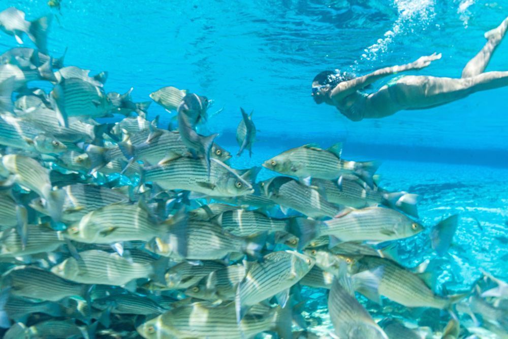 Your Adventure Awaits Photography Art | kramkranphoto