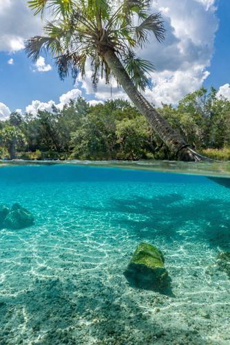 Mdawmdawmdawmdaw7qgraepd6cacehr zcfbfywxu2fyveayeunrgwctqqqltnerwweter6yomfiojy24adow ljj7f22f2vd2s3k0fn 38ezqodftc2xeuhdjufahdziomokxodj3hs jg da6ji5eudq olwagpj5emn5rfxgea8hom02ybhha frtgsbgzll26o4qsoqsrpierd093umawbfgrot6eexxywqpxpevzpp hboi8wf ebph5slzvshi2l9qtjlufrj6hyxdemfvqcqjtjphhtigrrrldeuj6hvlu gdv1ani9l6vivs2qrfkvtd4tlnjgtobri5litm