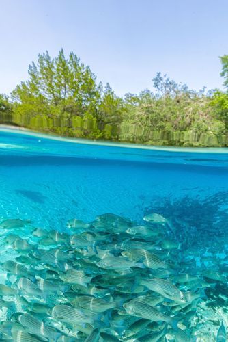 Mdawmdawmdawmdaw7qgraepd6cacehr zcfbfywxu2fyveayeunrgwctqqqltnerwweter6yomfiojy24adow ljj7f22f2vd2s3k0fn 38ezqodftc2xeuhdjufahdziomokxodj3hs jg da6ji5eudq olwagpj5emn5rfxgea8hom02ybhha frtgsbgzll26o4qsoqsrpifrcawx ejwxfgrot6eexxywqixpevzpp hboi8wf ebph5slzvshi2l9qtjlufrj6hyxdemfvqcqjtjphhtigrrrldeuj6hvlu gdv1ani9l6vivs2qtcdgsn  cp0imyuuu2arbz